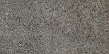 Industrial Park Charcoal Gray Rectangle 12X24 Matte