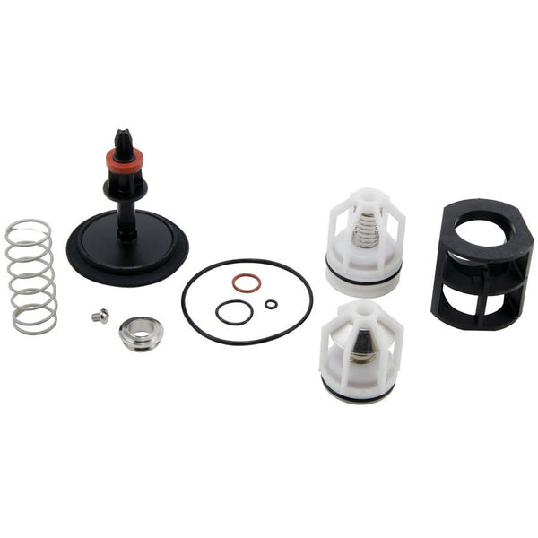 RK 009M2-T Total Valve Repair Kit, For Use With Model LF009M2/009M2 1-1/4 to 1-1/2 in
