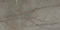 Astana Grey Nature