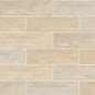 PASSION CREMA 3X8