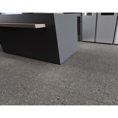 PERENNE JAVA MT 12X24