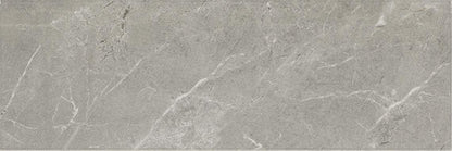Platinum Dove Rectangle 12X24 Matte
