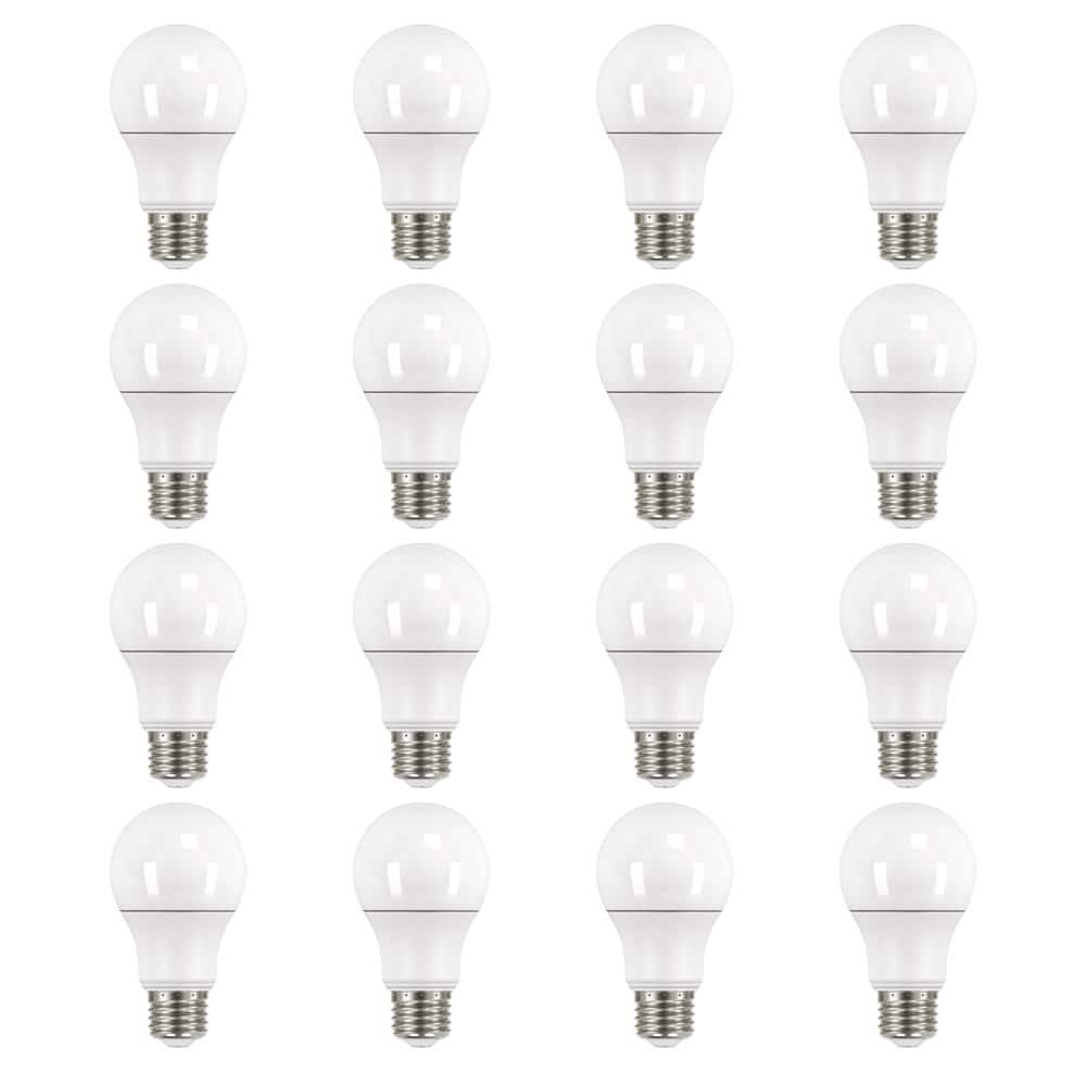 60-Watt Equivalent A19 Non-Dimmable LED Light Bulb Daylight 5000 (8-Pack)