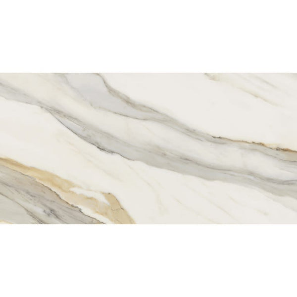 DYNAMIX CATALA GOLD R11 23X47 Limited Availability