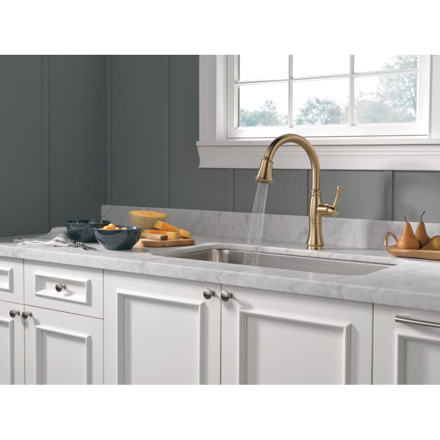 Cassidy Pull-Down Kitchen Faucet with Magnetic Docking Spray Head and ShieldSpray - Includes Lifetime Warranty