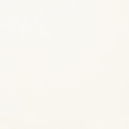 Marble Thassos White Rectangle 12X24 Polished