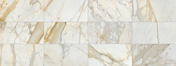 Marble Calacatta Gold Rectangle 12X24 Polished