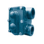 Steam Trap, 1 in, FNPT, Cast Iron