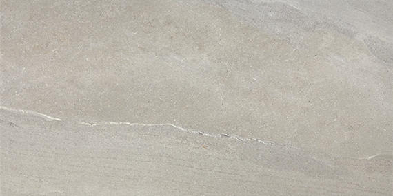 Platinum Shale Rectangle 15X30 Matte