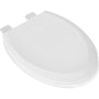 Elongated Closed-Front Toilet Seat with Quick Release and Lid