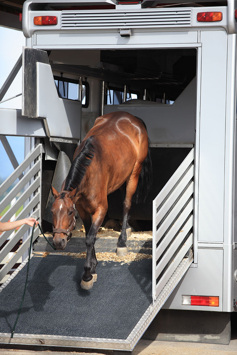 BLACK RUBBER STALL/GYM MAT 48X72X0.75
