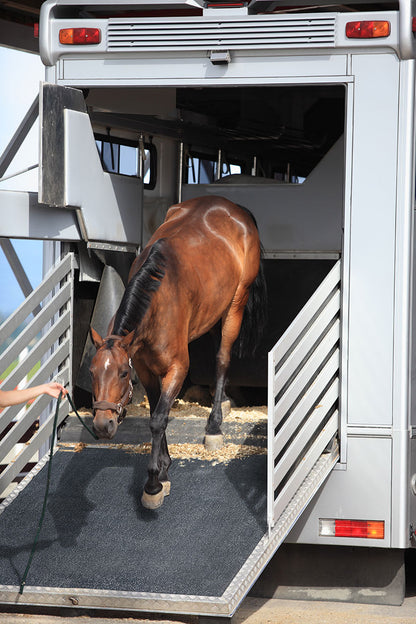 BLACK RUBBER STALL/GYM MAT 48X72X0.75