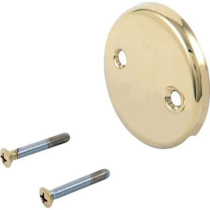 Replacement Overflow Plate with Screws