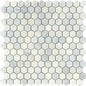 WINTER FROST 1" HEX MIX MO/121