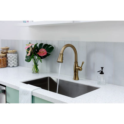 Cassidy Pull-Down Kitchen Faucet with Magnetic Docking Spray Head and ShieldSpray - Includes Lifetime Warranty