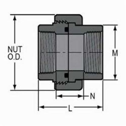 2000 Union With O-Ring, 3/4 in, FNPT, SCH 80/XH, PVC, FKM O-Ring