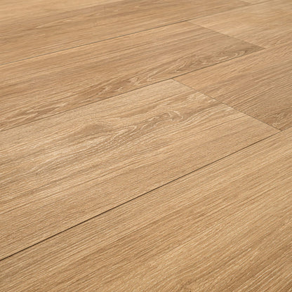 Placero Timber