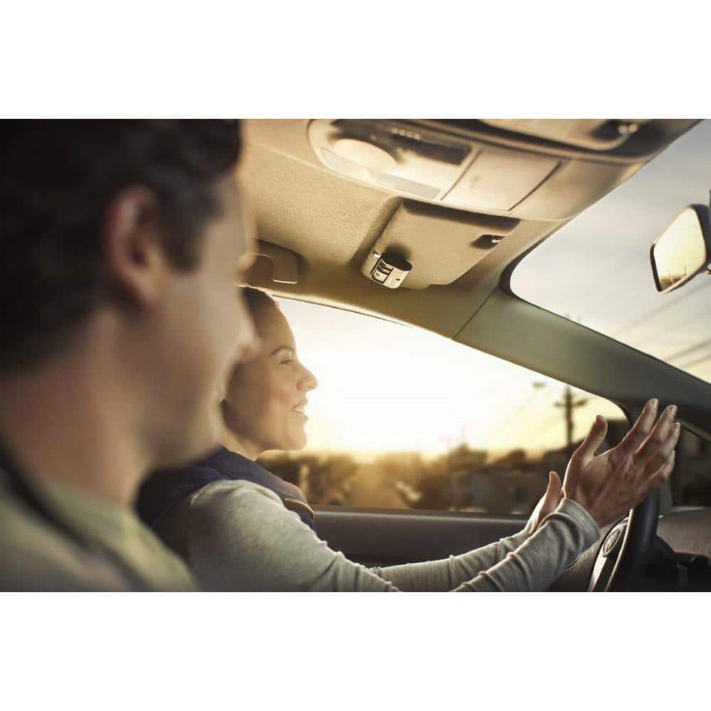 953EV-P2 3-Button Garage Door Remote Control