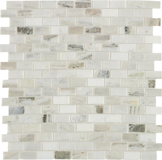 Decorative Accents Panaro Blend Brick 5/8X1 Polished