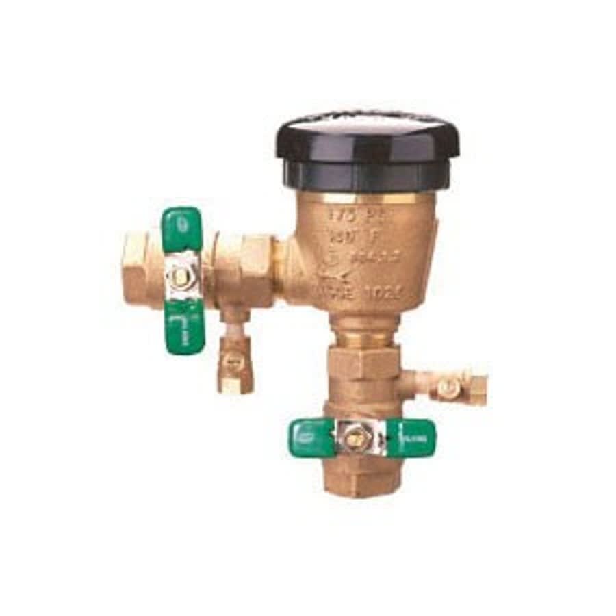 Vacuum Breaker, 1 in, FNPT, Bronze