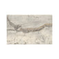 EXTERO TRAV SIL CC 16X24 3BCOP