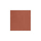 PIGMENTS CLAY (Make to order)
