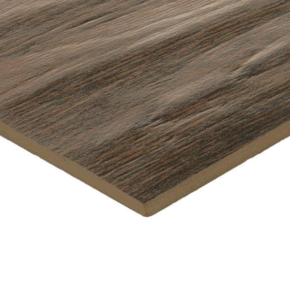 Knoxwood Spice Plank 6X24 Matte