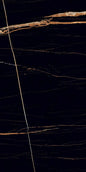 Sahara Black