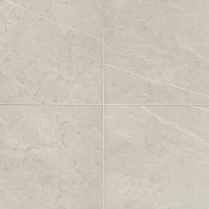 Prime Dynamic Beige Rectangle 12X24 Matte