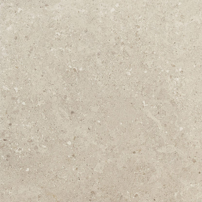 Dignitary Notable Beige Rectangle 6X24 Matte