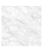 CARRARA WHITE (C) 12X12