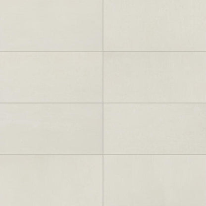 Theoretical Evolved Wishful White Rectangle 12X24 Textured