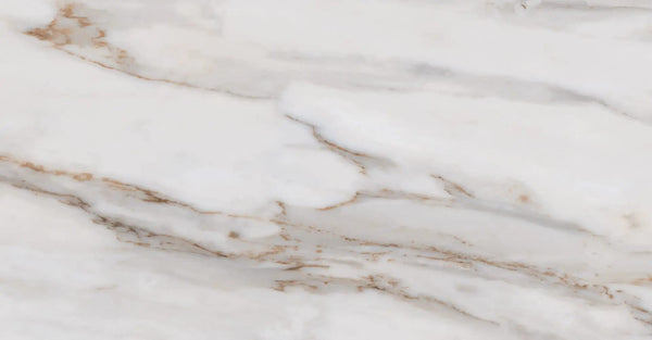 CALACATA GOLD PO 12x24 R