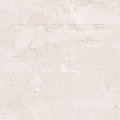 PARMA LIMESTONE