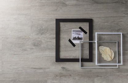 Timber Tortora