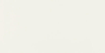 Pure Frost White Rectangle 12X24 Matte