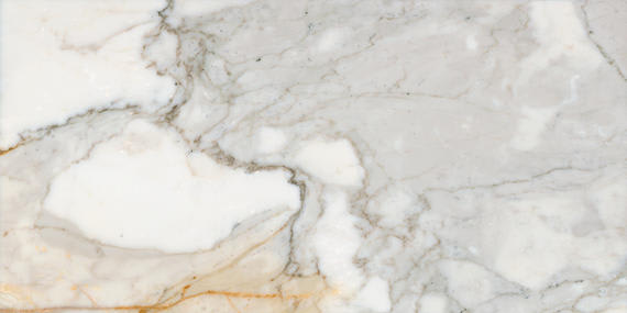 Marble Calacatta Gold Rectangle 12X24 Honed