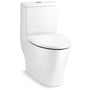 Reach 0.8 / 1.28 GPF Dual Flush One Piece Elongated Toilet with Actuator Flush - Seat Included