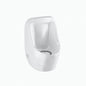 Waterless Urinal, ADA, Rear Spud, White