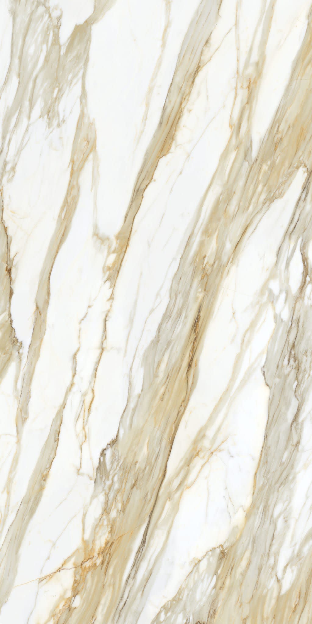 Golden Angelite