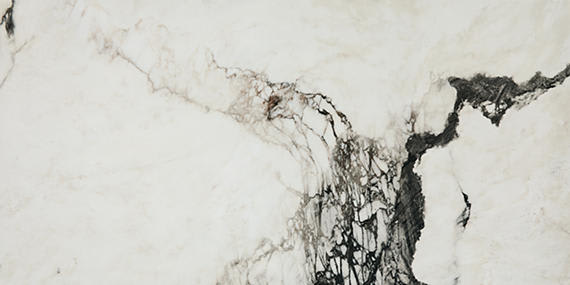 Savoir Noir Rectangle 12X24 Polished