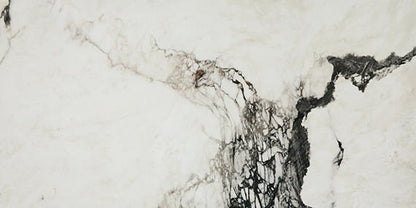 Savoir Noir Rectangle 12X24 Polished