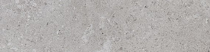 Dignitary Eminence Grey Rectangle 12X24 Matte