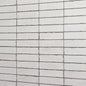 Iridescent Isles Seashell Rectangle 2X9 Glossy