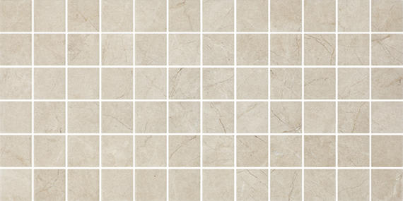 Platinum Almond Rectangle 12X24 Matte
