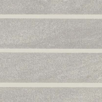 Platinum Mist Rectangle 12X24 Glossy