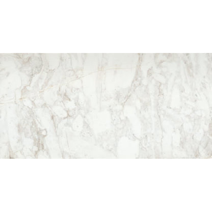 CALACATA ILLUSION HN 12X24