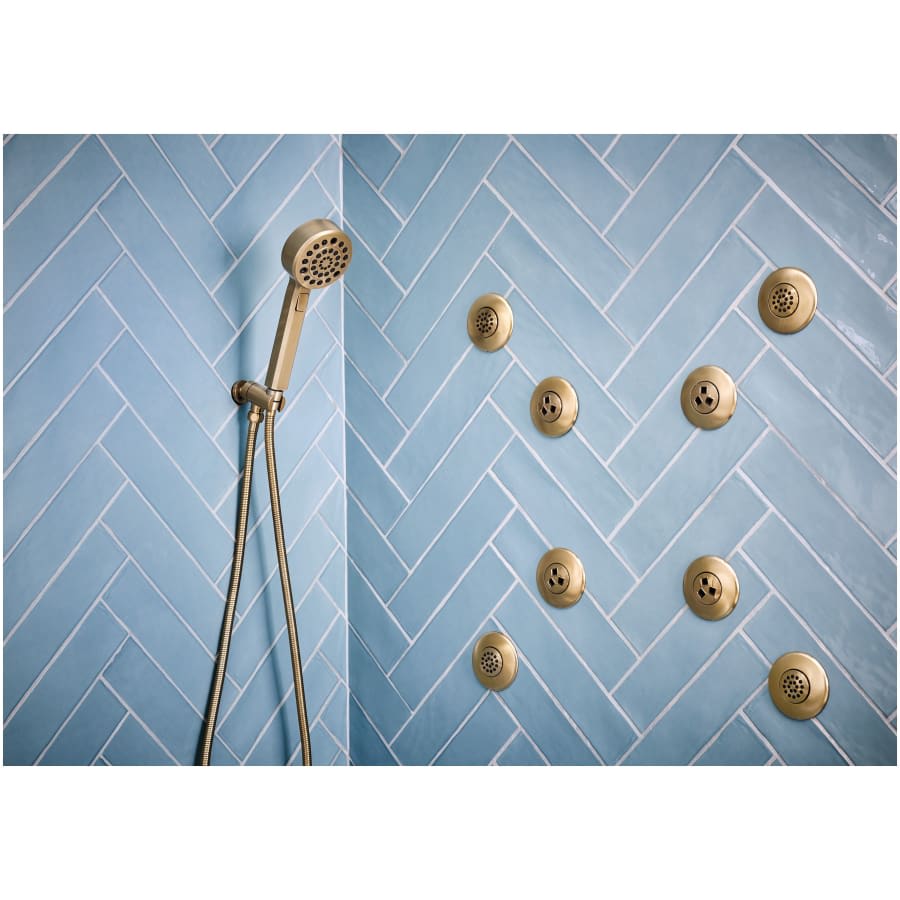 Levoir 1.75 GPM Multi Function Hand Shower Package with H2Okinetic Technology - Includes Hose, Holder and Wall Supply