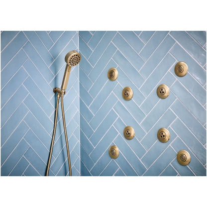 Levoir 1.75 GPM Multi Function Hand Shower Package with H2Okinetic Technology - Includes Hose, Holder and Wall Supply