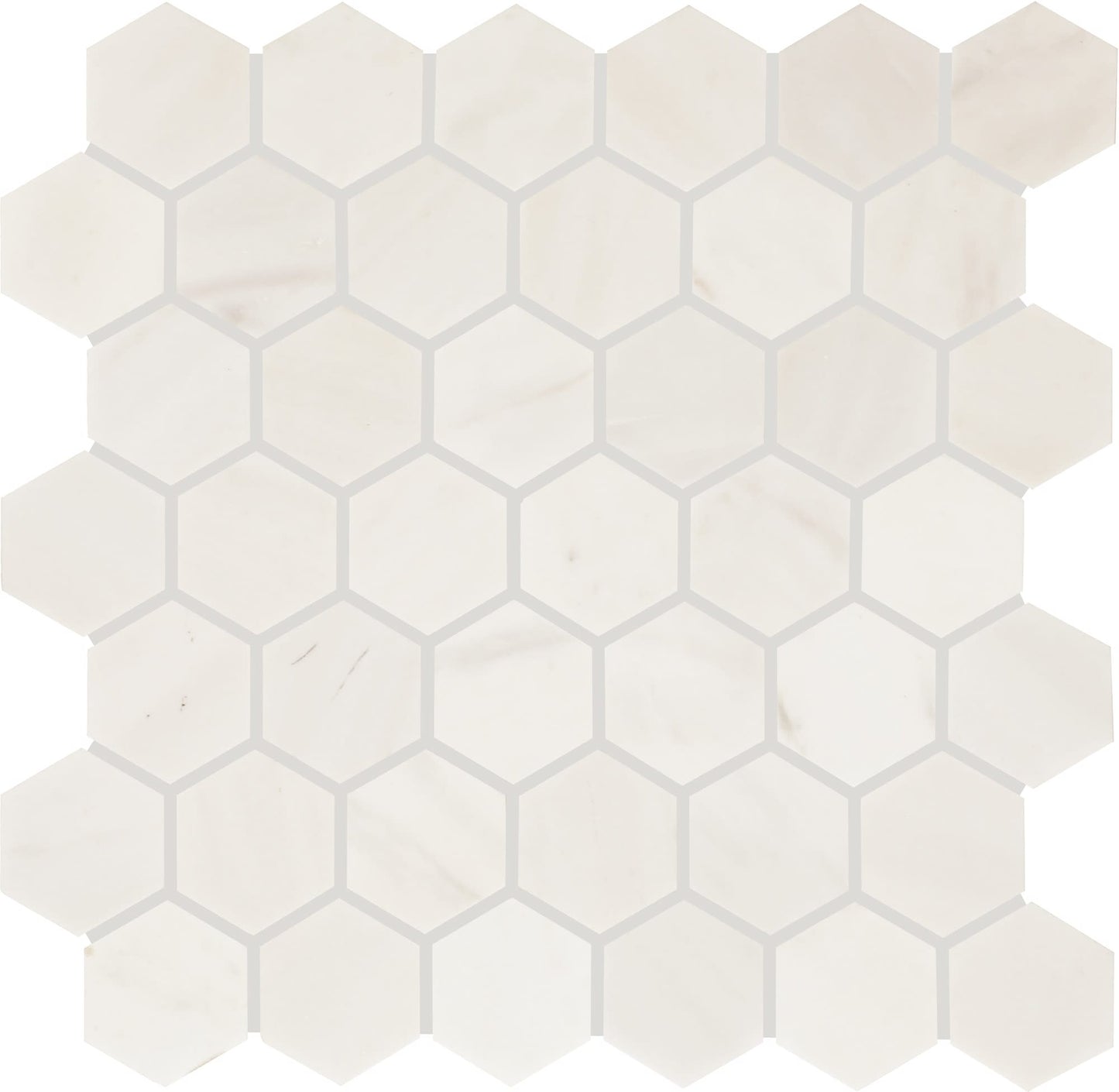 Eclessia Marble Pacifica Circle 6X6 Polished